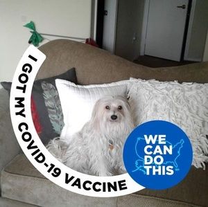 Meet your Posher, Lee